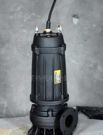 WQ、WQD、WQX型無堵塞潛水電泵 高效可靠的潛水設備解決方案