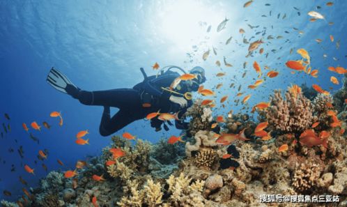 海棠·泰岳府 溫泉入戶，盡享康養度假雅居生活